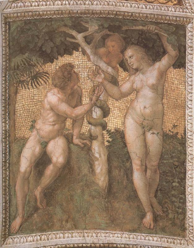 RAFFAELLO Sanzio Original sin oil painting image